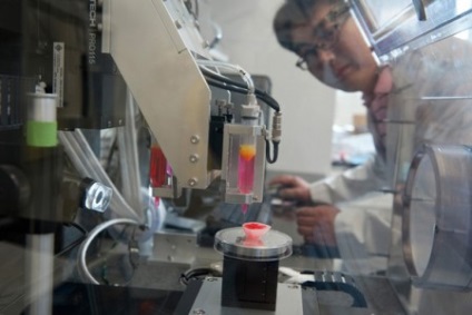 Organele bioprinting pe o imprimantă 3d, cum funcționează