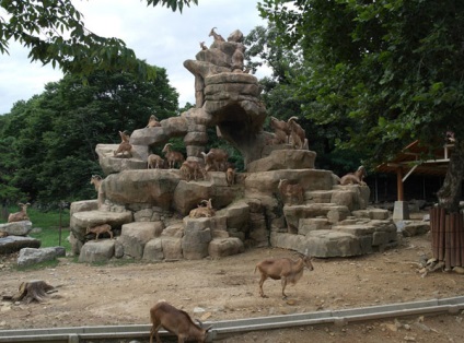 Great Seoul Park, Coreea de Sud descriere, fotografie, unde este pe hartă, cum se ajunge acolo