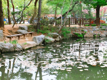 Great Seoul Park, Coreea de Sud descriere, fotografie, unde este pe hartă, cum se ajunge acolo