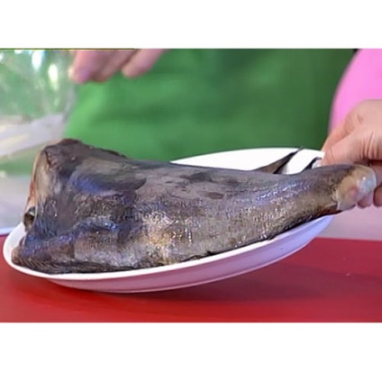 Ce este util pentru halibut, despre sănătate cu un copil mic