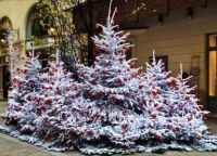 Cum să decorezi un copac de Crăciun pe stradă cu mâinile tale