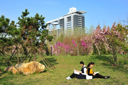 Universitatea din China de petrol - Universitatea Chineză de Petrol din Qingdao - istorie, formare și