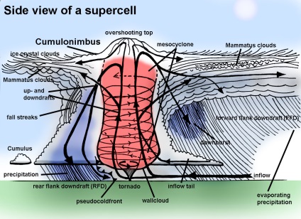 Ce este o super-celula?