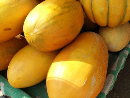 Goulash Melon Grade Characteristics și proprietăți benefice