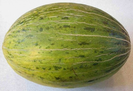 Melon Gulab jellemző a fajta és hasznos tulajdonságait