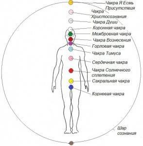 Cele douăsprezece chakre ale omului nou