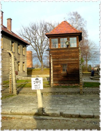 Excursie la lagărul de concentrare Auschwitz, voiaj cu Tatyana Vyotka