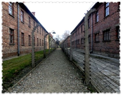 Excursie la lagărul de concentrare Auschwitz, voiaj cu Tatyana Vyotka