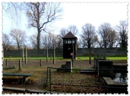 Excursie la lagărul de concentrare Auschwitz, voiaj cu Tatyana Vyotka