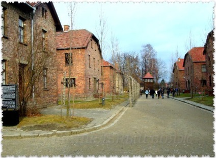 Excursie la lagărul de concentrare Auschwitz, voiaj cu Tatyana Vyotka