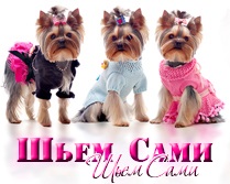 În cazul în care catelul latra la străini, Yorkshire terrier