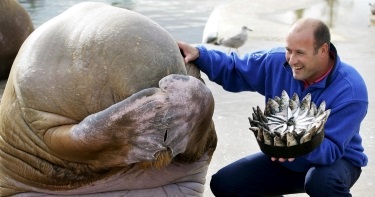 Acest câine care a suferit a vrut doar să moară