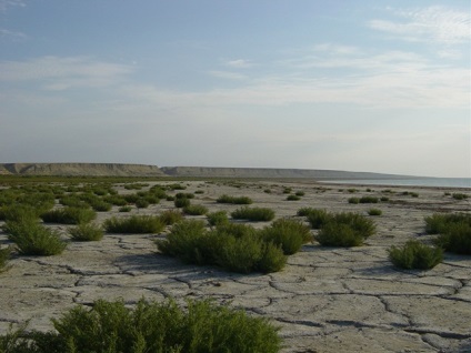 Aceasta este una dintre cele mai mari dezastre ecologice! Cât de uscată a fost uscată Marea Aral