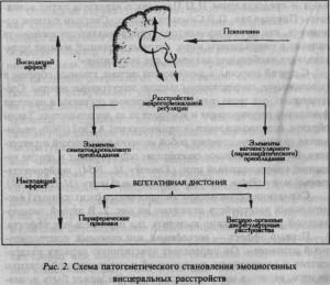 Funcția patologiei viscerale (formarea etiopatogenetică), cardiolog