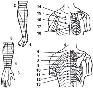 Capitolul 7 acupresura - coloana vertebrală și articulațiile