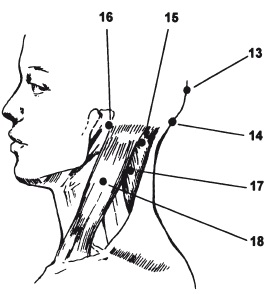 Capitolul 7 acupresura - coloana vertebrală și articulațiile