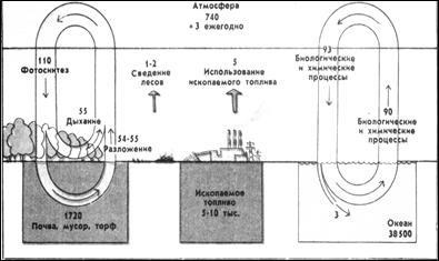 Глобальні біогенні кругообіг