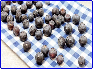 Blueberry receptek téli készítmények (dzsem, gyümölcslé, bor)