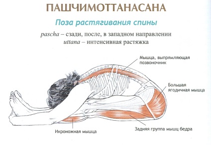 Cursuri de yoga individuale la Moscova și suburbii acasă