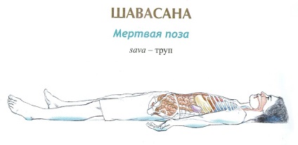 Cursuri de yoga individuale la Moscova și suburbii acasă