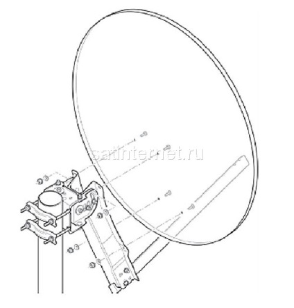 Instrucțiuni pentru înființarea de ceainării - baza satelitului siberian