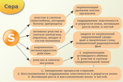 Инструкции за употреба на бирена мая с сяра 