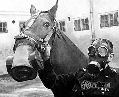 Istoria mască de gaz - în vasta URSS