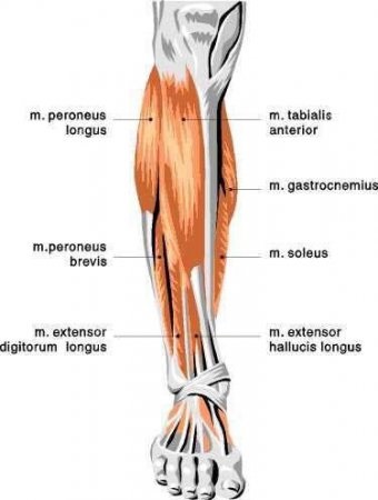 Terapia de yoga pentru picioarele plate - instruirea instructorilor în yoga, formarea cadrelor didactice