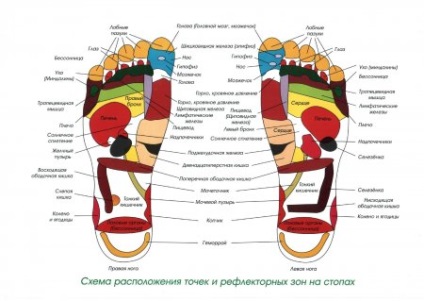 Terapia de yoga pentru picioarele plate - instruirea instructorilor în yoga, formarea cadrelor didactice