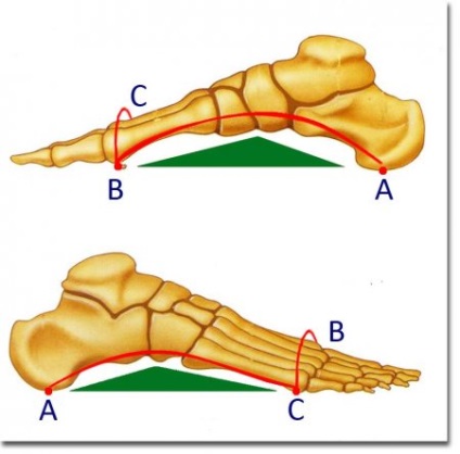 Terapia de yoga pentru picioarele plate - instruirea instructorilor în yoga, formarea cadrelor didactice