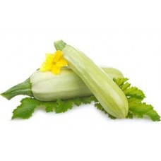 Zucchini - proprietăți și beneficii utile, vătămări și contraindicații