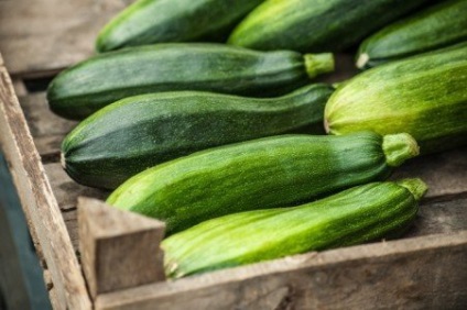 Zucchini - proprietăți utile și caracteristici de aplicare
