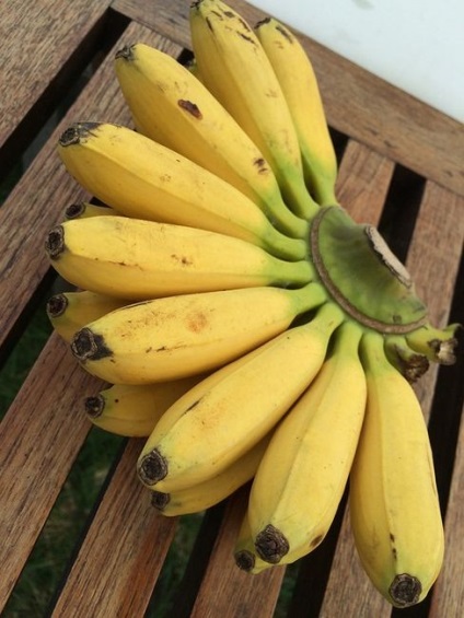 Mik banán 1