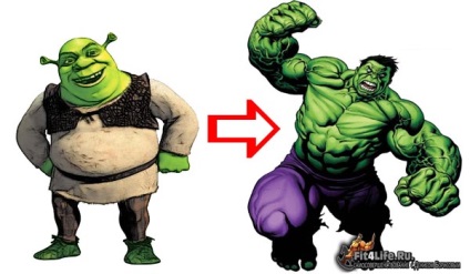 Hogyan építsünk Shrek (a kövér ember - endomorf), Denis Borisov