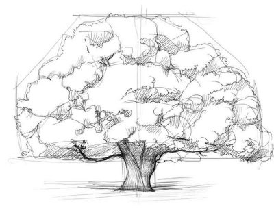 Cum de a desena un copac în creion în etape - imagini și imagini de pe desktop gratuit