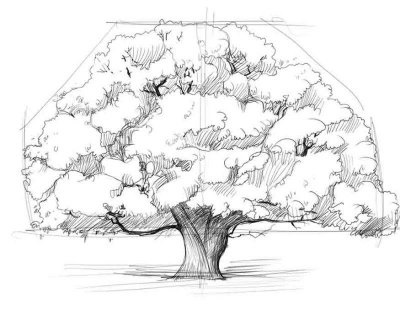 Cum de a desena un copac în creion în etape - imagini și imagini de pe desktop gratuit