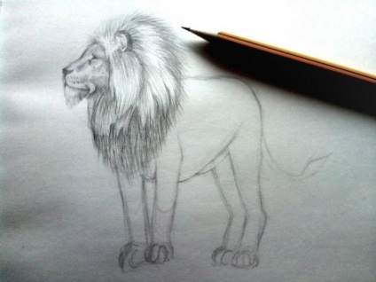 Hogyan kell felhívni egy oroszlán ceruza lépésről lépésre bemutató kezdőknek