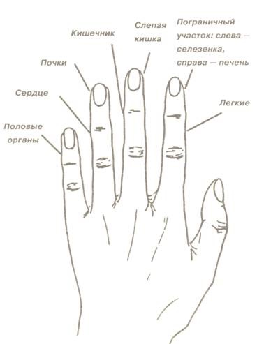 Cum să identificați bolile pe palma unei persoane