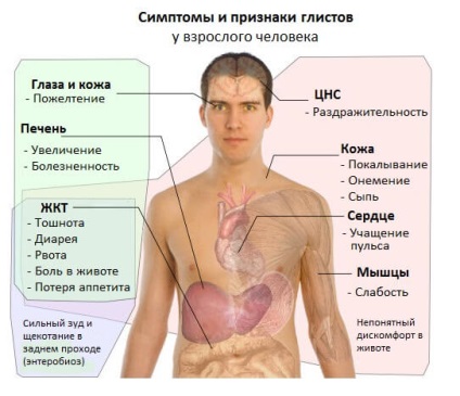 Cum sunt transmise viermi de la o persoană la alta?