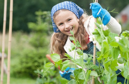 Cum să implicați copiii în grădinărit