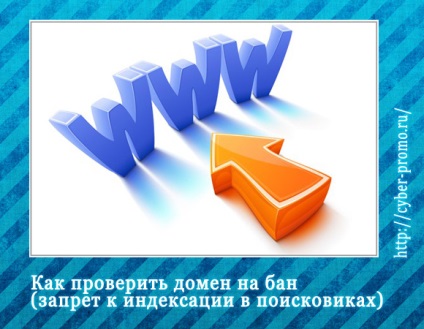 Cum să verificați domeniul interzicerii (interzicerea indexării în motoarele de căutare)