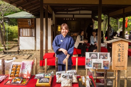 Cum să mergeți în Japonia pe cont propriu, totul despre turism și recreere