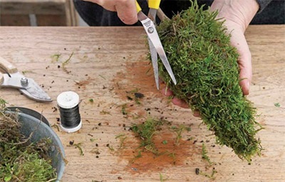 Cum de a face un topiary - o clasă de master, note de femei
