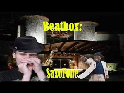 Cum se face sunetul unei plăci în serviciul beatbox - stell