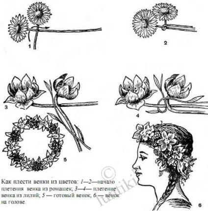 Cum să legați o coroană de flori pe cap, pe cap și pe capul craniului