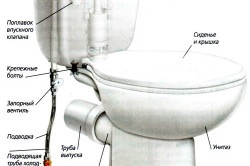 Cum de a alege un bol de toaletă