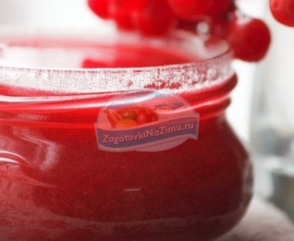 Kalina piros télen a legjobb receptek fotókkal