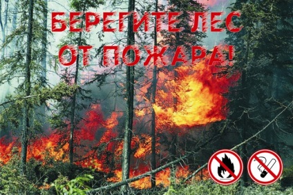 Imaginile protejează pădurea de foc