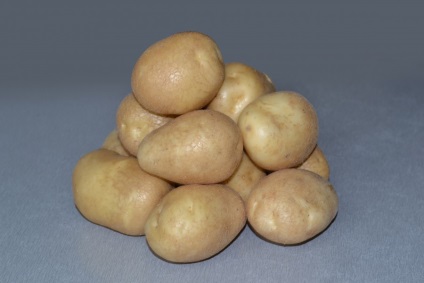 Potatoarea cartofului - o descriere a soiului, fotografii, caracteristici, plantare, îngrijire, recenzii și alte nuanțe