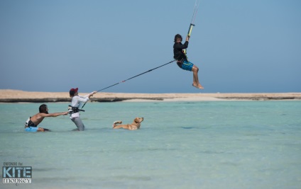 Kite Safari